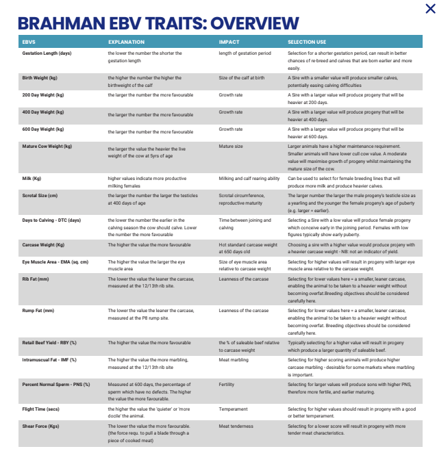 Screen Shot 2023-07-12 at 5.19.10 pm