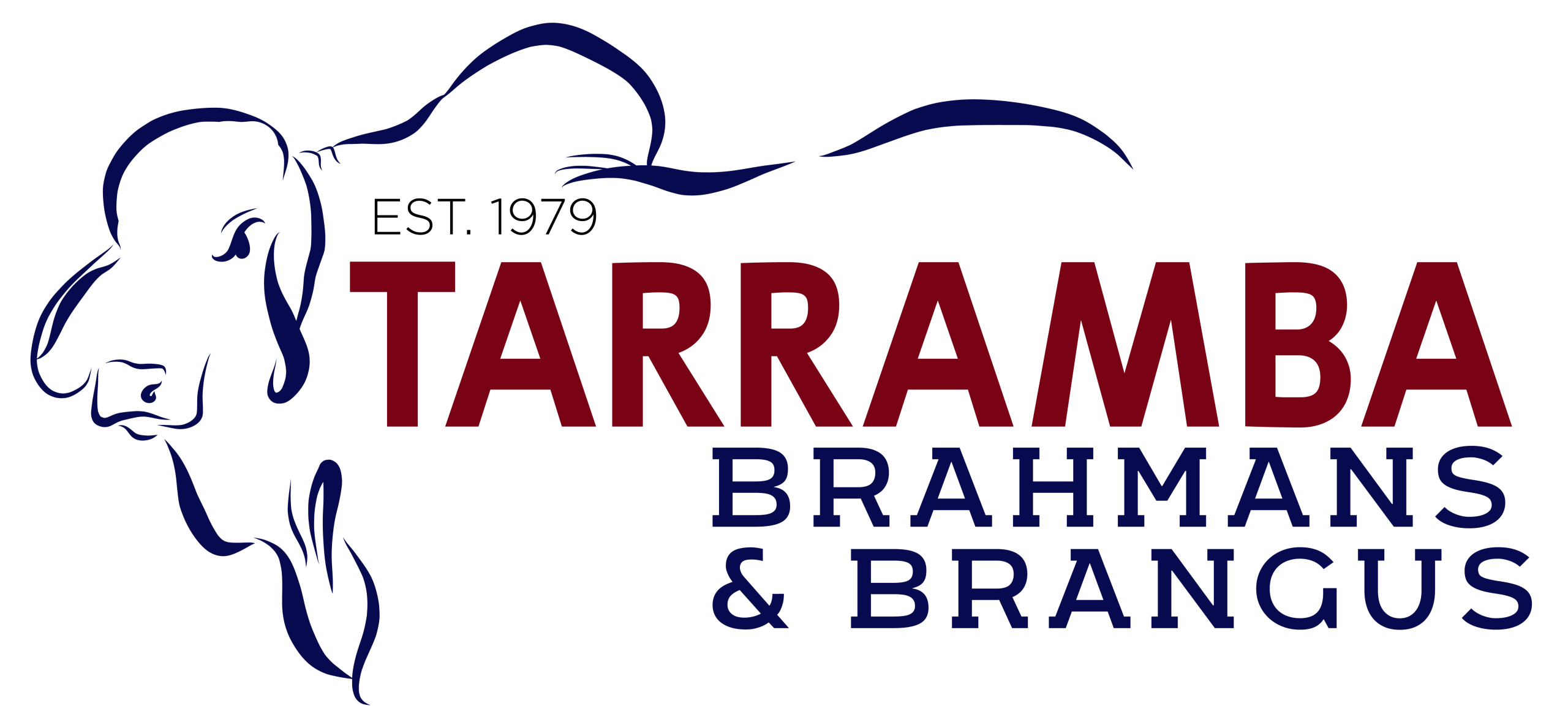 Tarramba Brahmans & Brangus